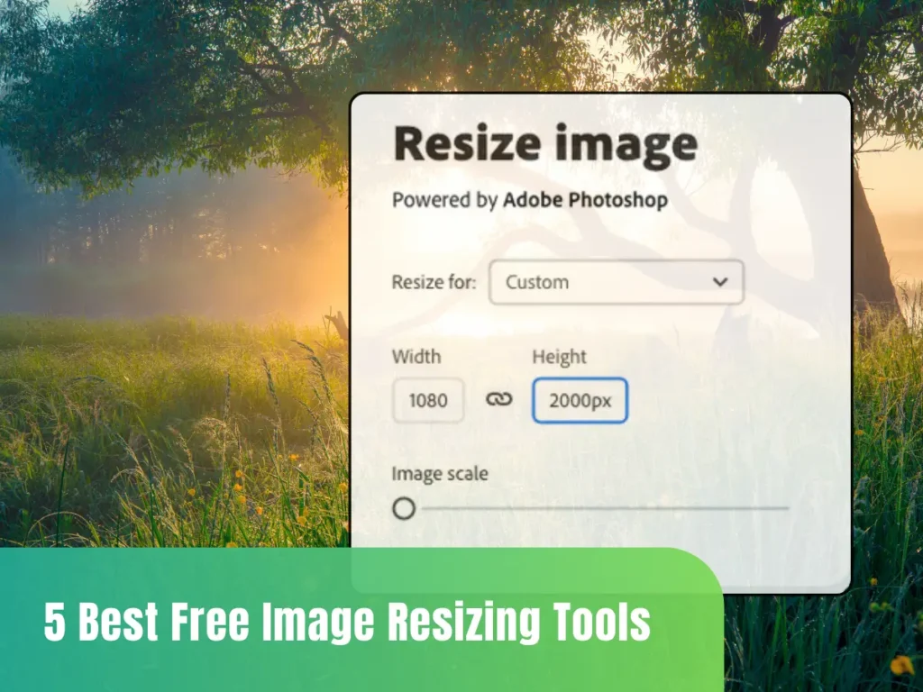 Best Free Image Resizing Tools in 2024